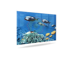 Infrarood paneel Ecosun-GS600-glazen-infraroodpaneel-met-print