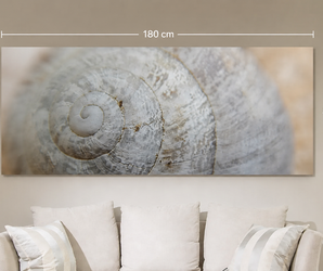 THERON ART 1550 infrarood fotoverwarming met schelpfoto, 80 × 180 cm, boven een bank