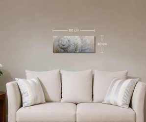 THERON ART 200 infrarood fotoverwarming met schelpfoto, 30 × 60 cm