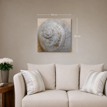 THERON ART 400 infrarood fotoverwarming met schelpfoto, 60 × 60 cm, boven een bank