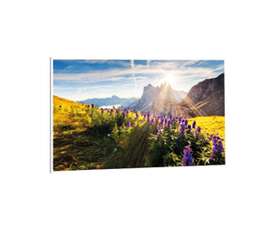Infrapower bedrukt infraroodpaneel 450W 60x90 cm met afbeelding