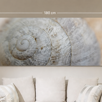 THERON ART 1550 infrarood fotoverwarming met schelpfoto, 80 × 180 cm, boven een bank