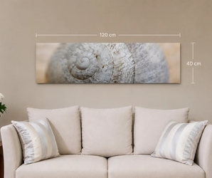 THERON ART 500 infrarood fotoverwarming met schelpfoto, 40 × 120 cm, boven een bank