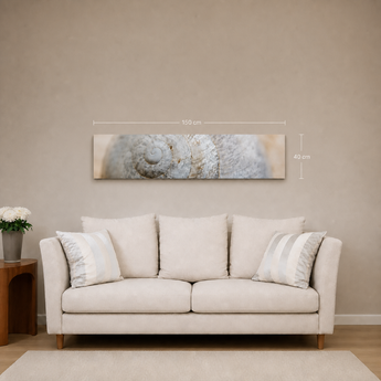 THERON ART 670 infrarood fotoverwarming met schelpfoto, 40 × 150 cm, boven een bank